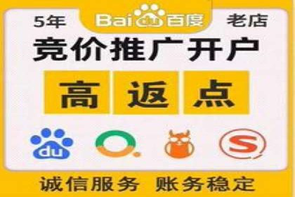 百度竞价广告投放成功案例解析